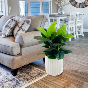 Best Wayfair artificial plants under $50 – affordable faux indoor plants