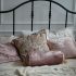 What Is the Best Wayfair Nightstand for a Small Bedroom?