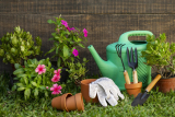 Deals and Coupons Home & Garden
